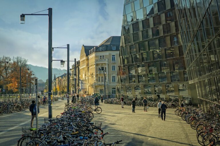 Perbandingan Peringkat Universitas di Indonesia dengan Negara Lain: Apa yang Bisa Dipelajari?